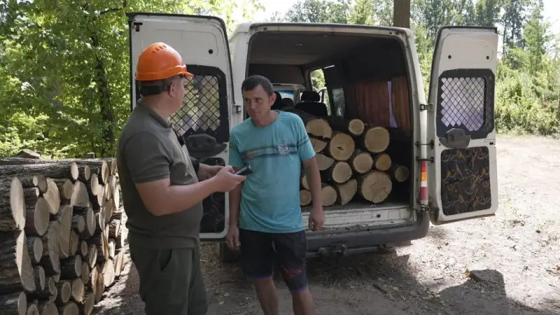 Дрова на Вінниччині: які породи пропонують та скільки коштує кубомет